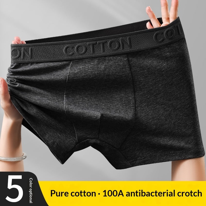 High-End Antibacterial