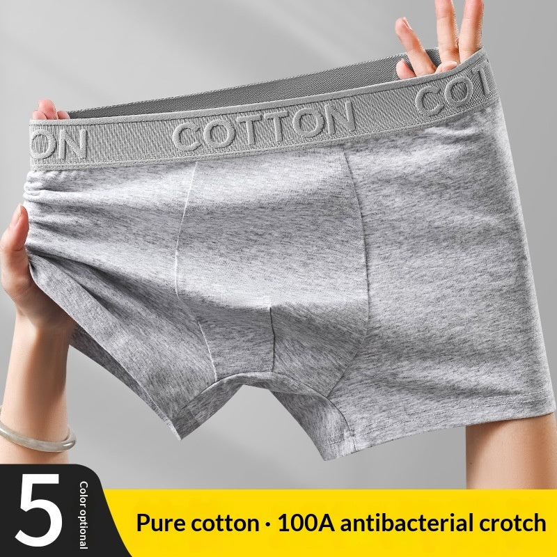 High-End Antibacterial